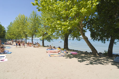 Camping Cisano / San Vito Camping Cisano / San Vito