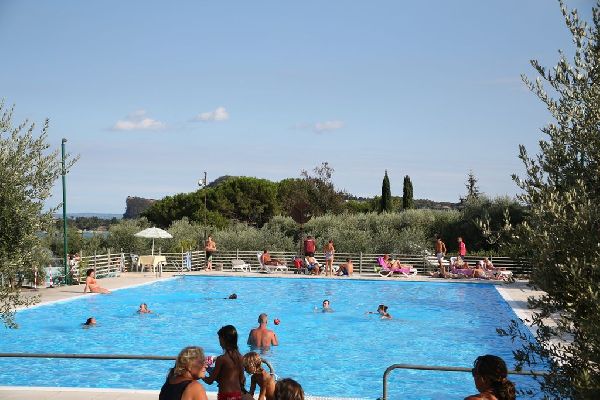 Salici Salici