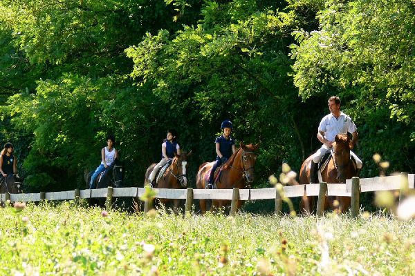 Vacanceselect Agriturismo Le Sorgive e Le Volpi