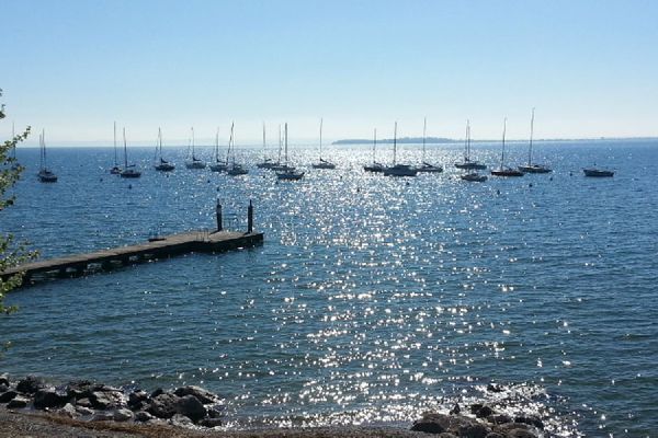 Camping San Michele Camping San Michele