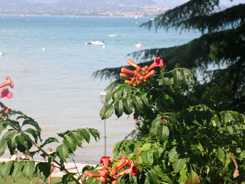 Selectcamp Camping Bella Italia Selectcamp Camping Bella Italia