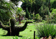 De Botanische tuin Andre Heller De Botanische tuin Andre Heller